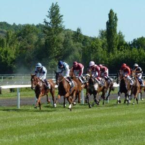 horse race, hippodrome, horses-1665688.jpg